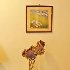 Hotel Rasula Alta ***